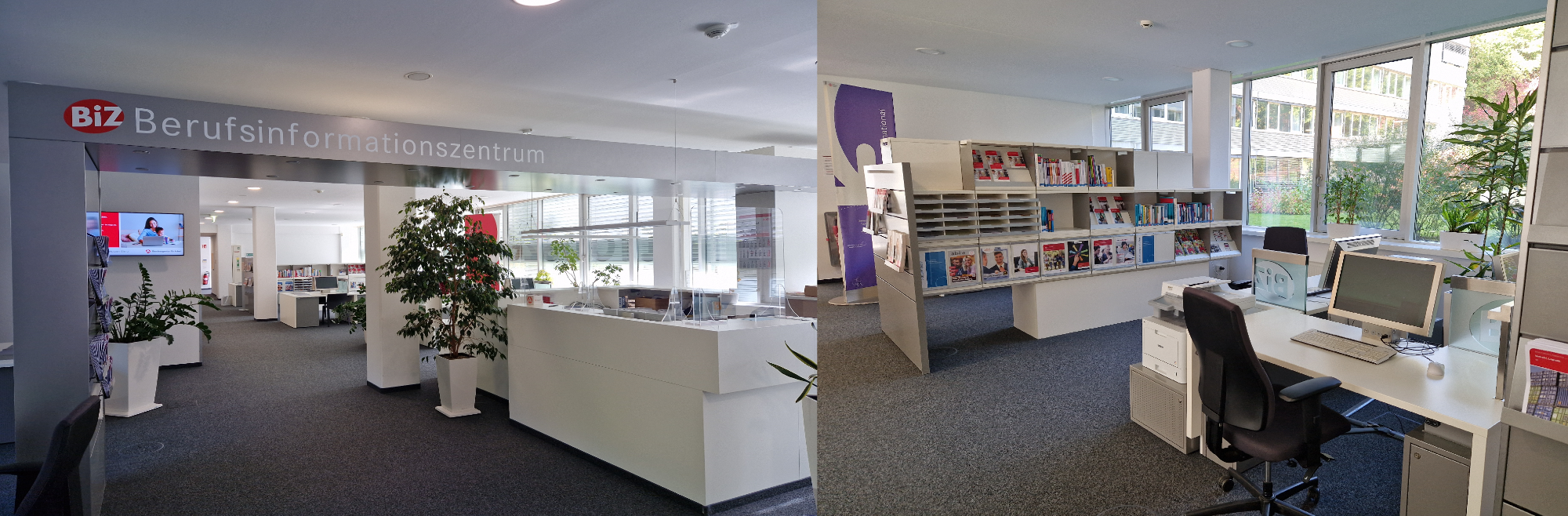 Das Berufsinformationszentrum Innenansicht, moderne Büroeinrichtung mit Pflanzen, Arbeitsplätzen und Regalen. Helle, offene Raumgestaltung.